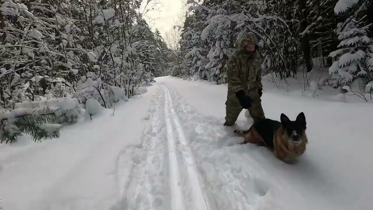 Пробежка 11.01.2026