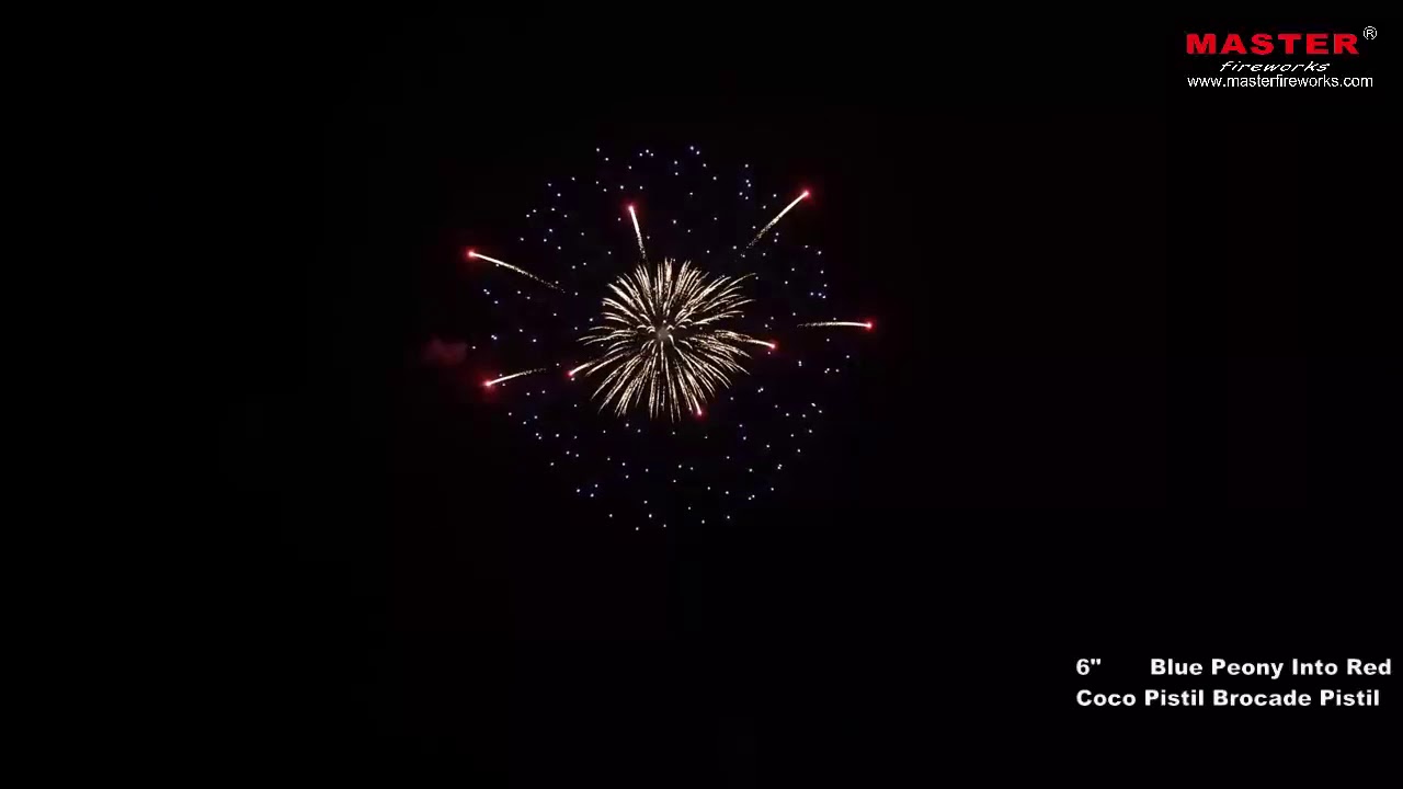 Liuyang Supplier 1.3G  6 Inch Professional Display Shell Fireworks For Celebration