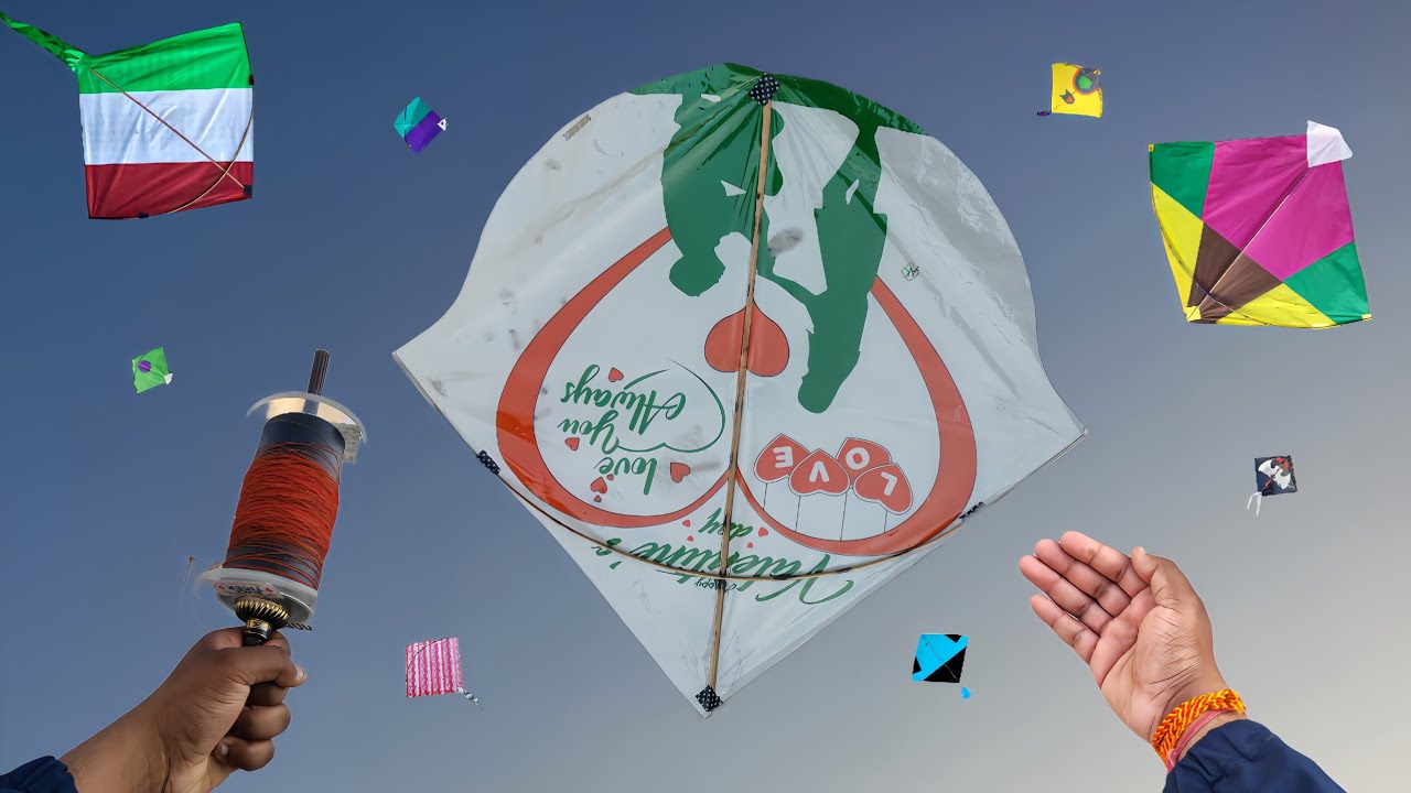 Socha nhi tha itni sari patang ajygi | kite Looting video | valentine's , pigeon , tiranga kite