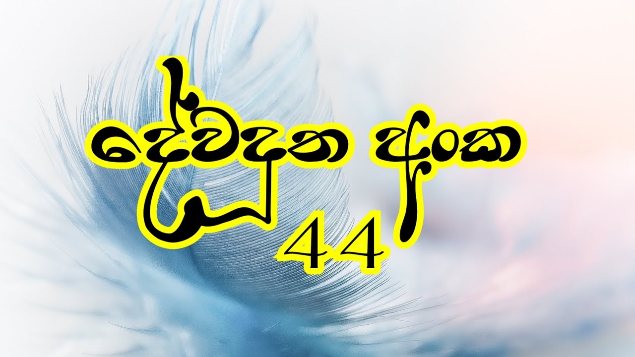 Angle Number 44: The Enigmatic Symbol of Success and Prosperity