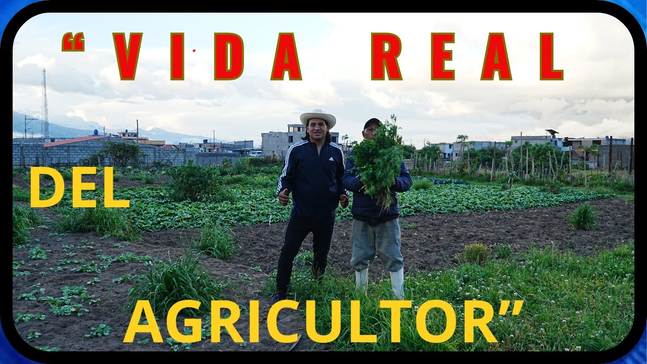 Lo que nadie ve del agricultor