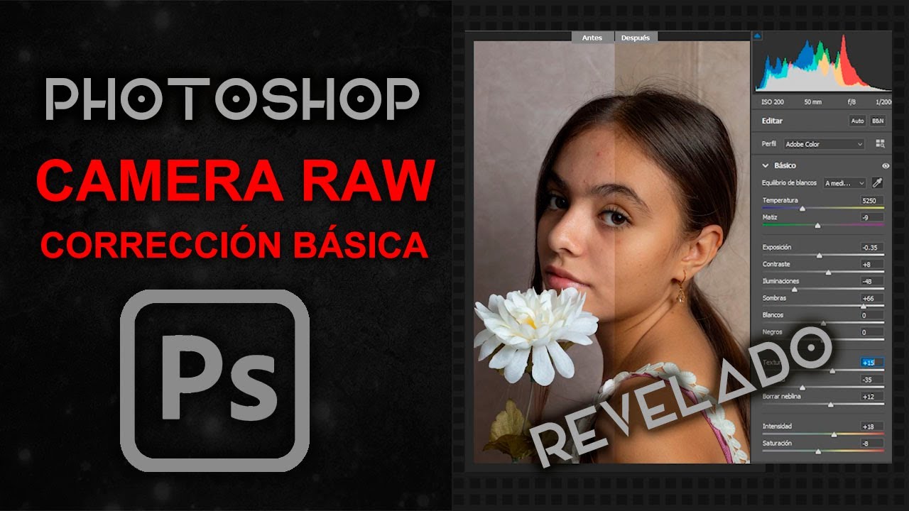 Revelado digital– CAMERA RAW / Corrección básica | Adobe Photoshop