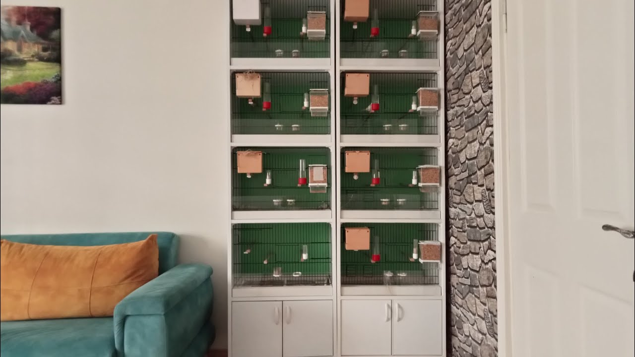 PVC KAFESİMİZ GELDİ TEL KAFESLER KALKIYOR.