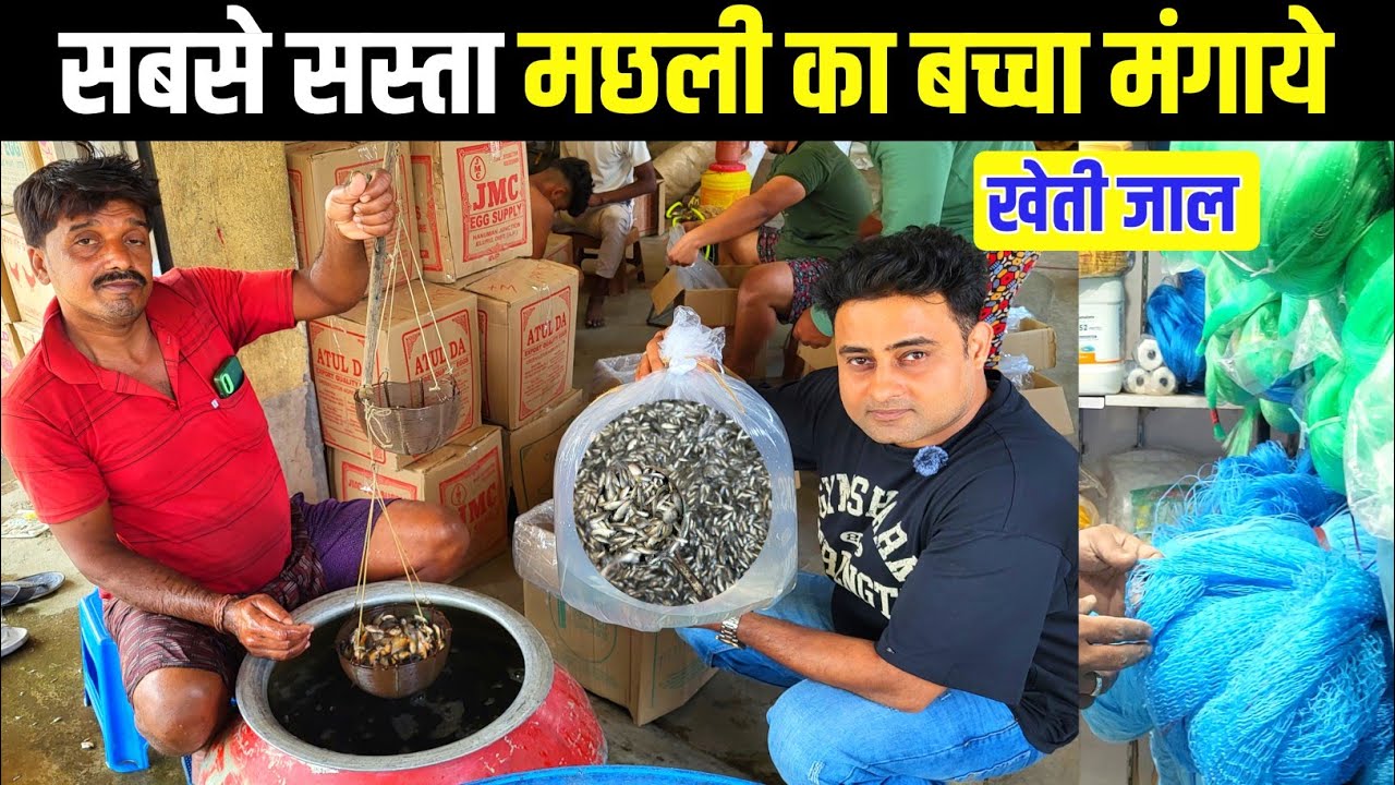 मछली का बच्चा सबसे सस्ता यहाँ से मंगाये | Fish seeds market in Kolkata | kheti Ka Jaal