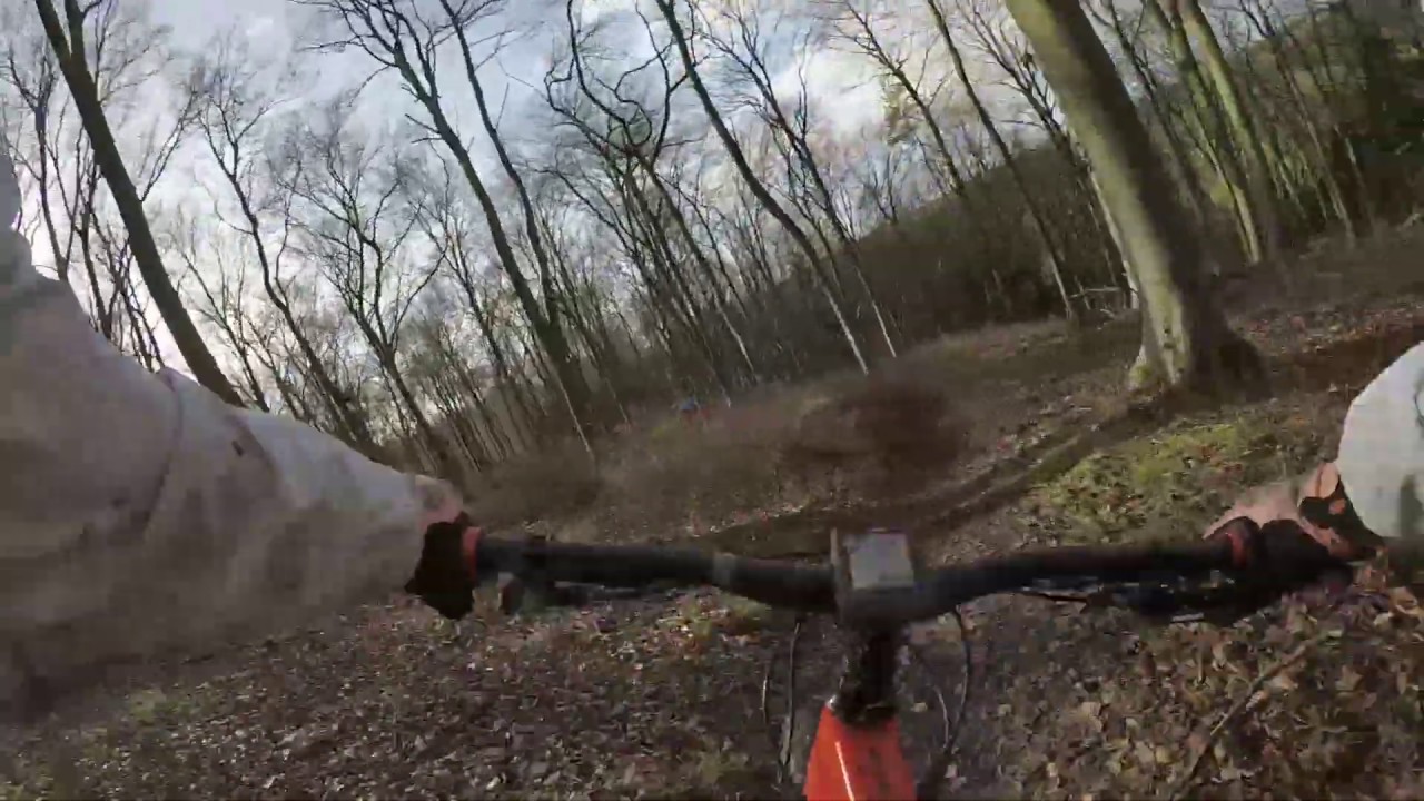 Best trail centre in Hampshire Queen Elizabeth Country Park Review