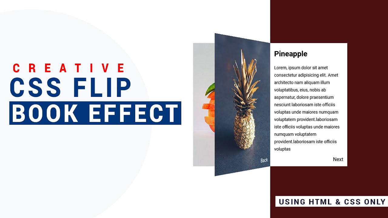CSS FLIP BOOK ON CLICK USING HTML AND CSS ONLY | CREATIVE FLIP BOOK EFFECT