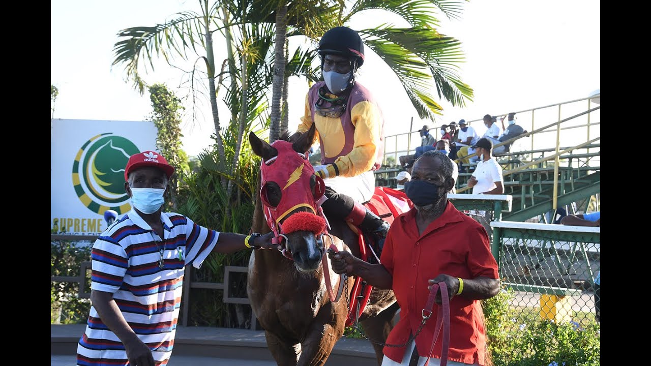 JAMAICA RACING: GROOM OF EROS CECIL CHAMBERS TELLS HIS STORY TO THE QUICK GALLOPER