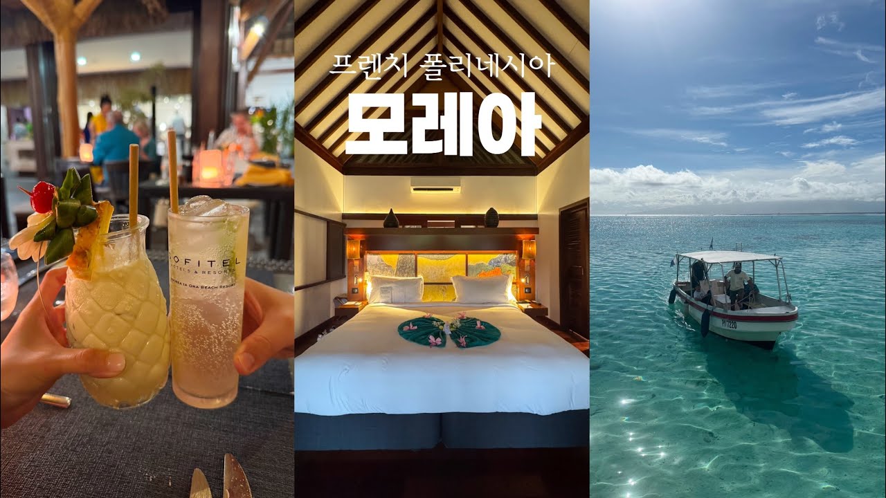 신혼여행 브이로그 ep.1 - 프렌치 폴리네시아🇵🇫 모레아🏝️ 소피텔 모레아 &bull; 혹등 고래 투어 &bull; 타히티 전통 공연🌺 도쿄 경유 에어 타히티 누이 타고 타히티 여행✈️
