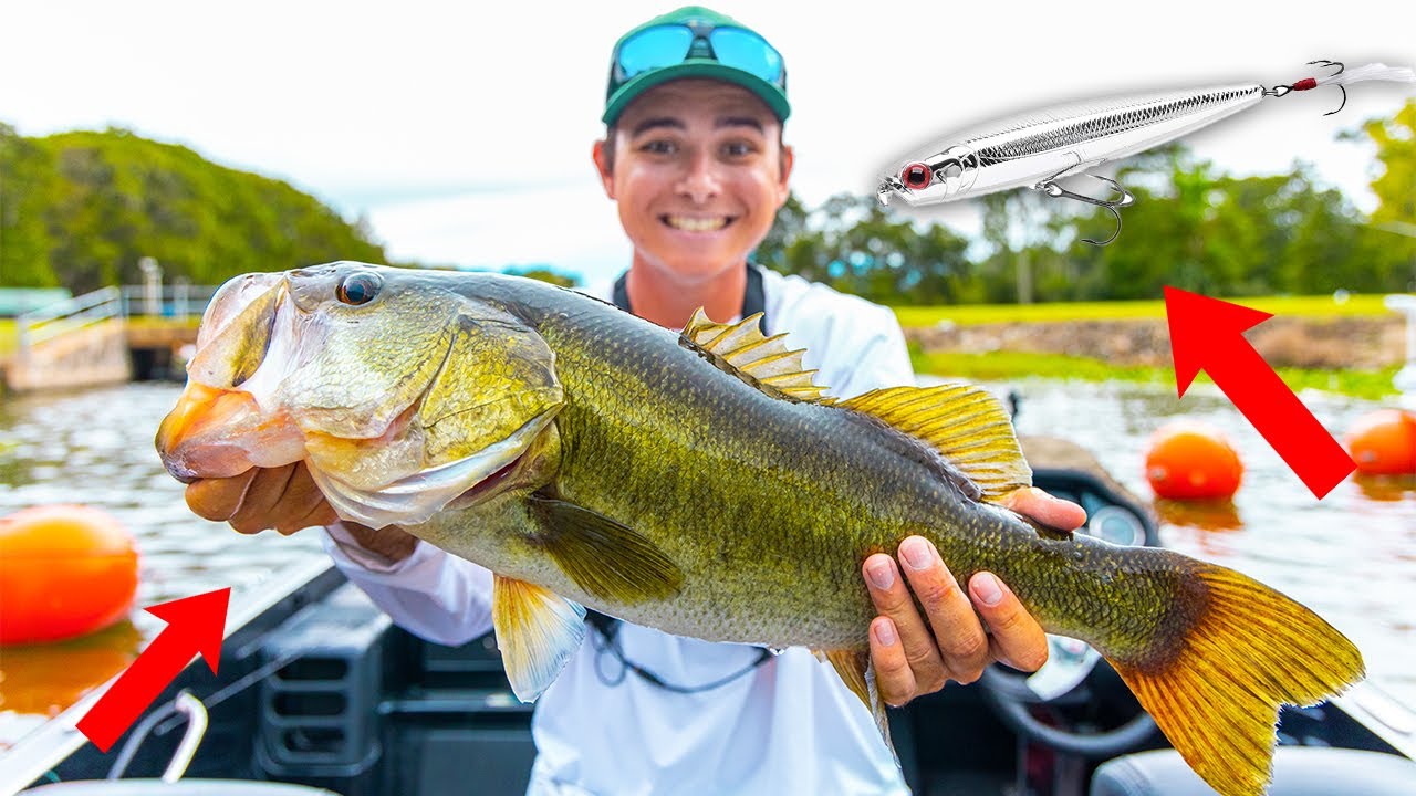 Fishing with GUNFISH in FLORIDA【09,10】
