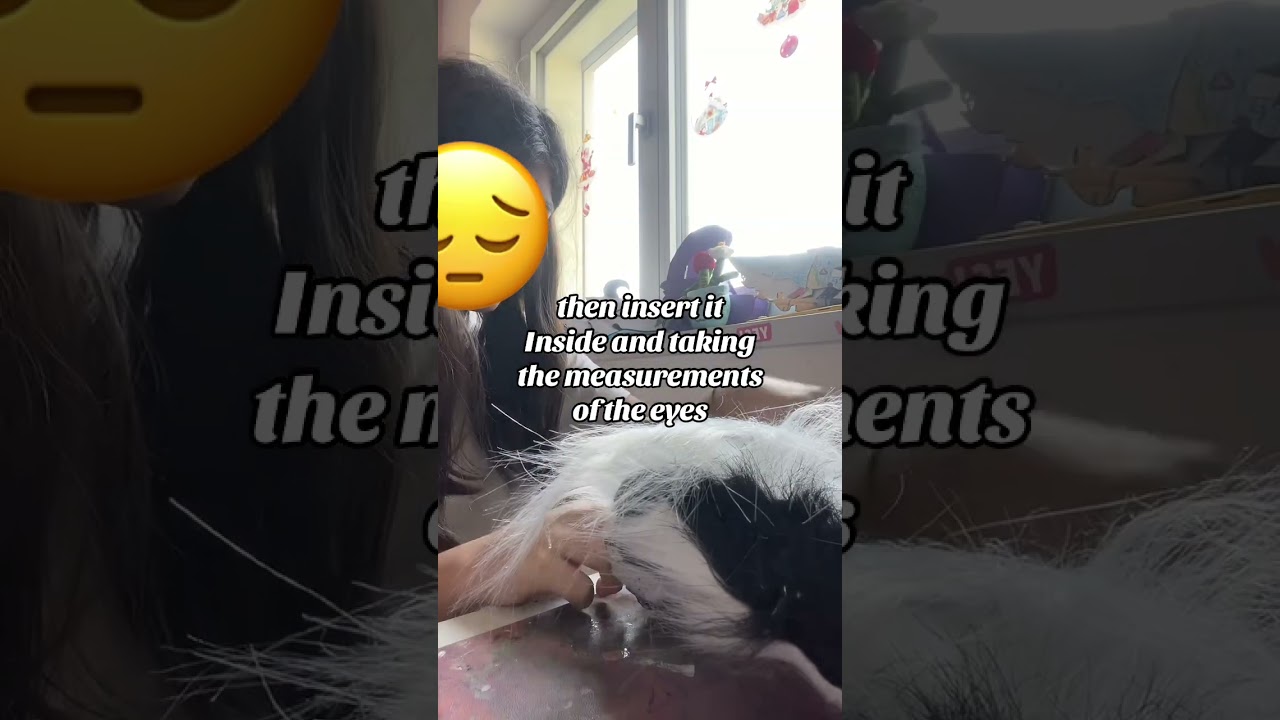 New tutorial,i remake my old mask