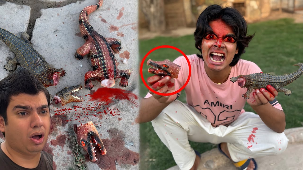Subhan Ny Gussa Mein Crocodile Baby Mar Dala 😨