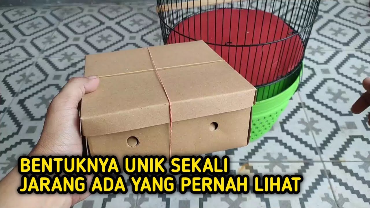 INI BURUNG LANGKA YANG HANYA BISA DITEMUKAN DI SATU TEMPAT DIBUMI‼️