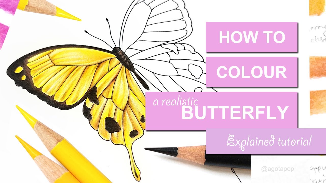 How to colour a realistic butterfly - Explained tutorial - Real-time colouring - fragments