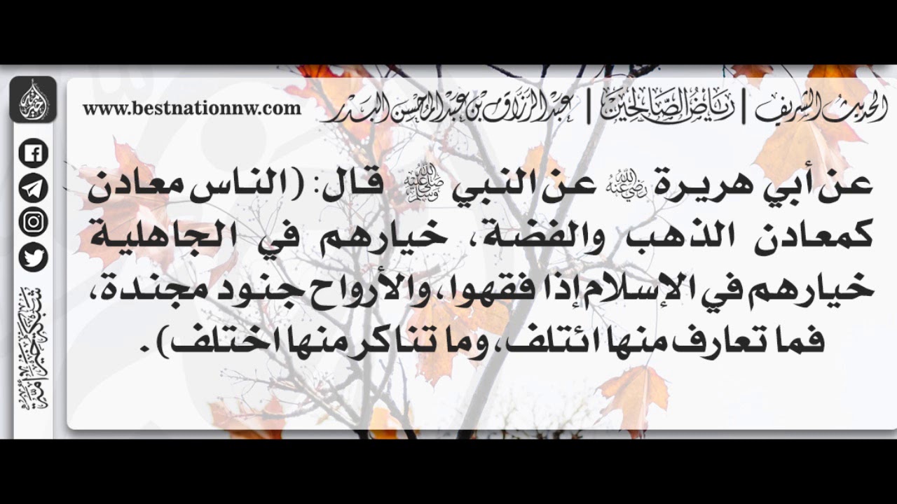 371- شرح حديث الأرواح جنود مجندة فما تعارف منها ائتلف وما تناكر منها اختلف - الشيخ : عبدالرزاق البدر