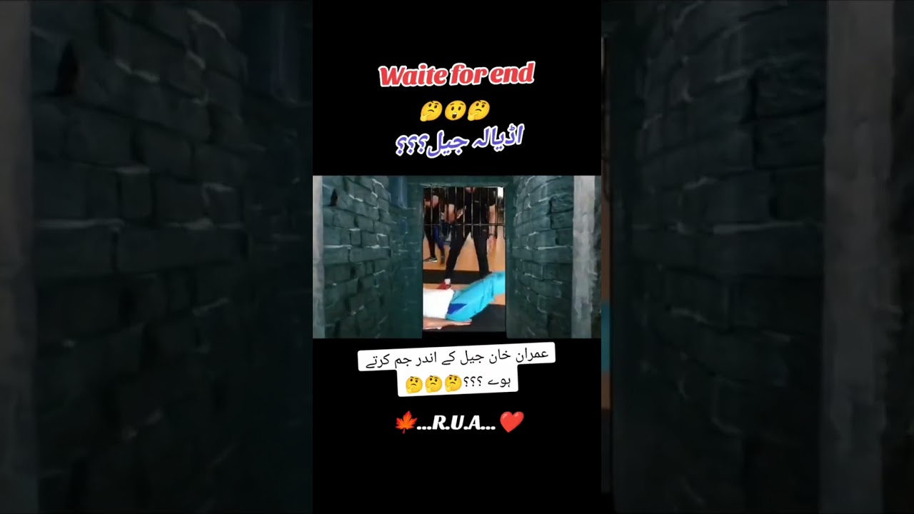 Imran khan tigers #pti #tigers #viral video #foryoupage