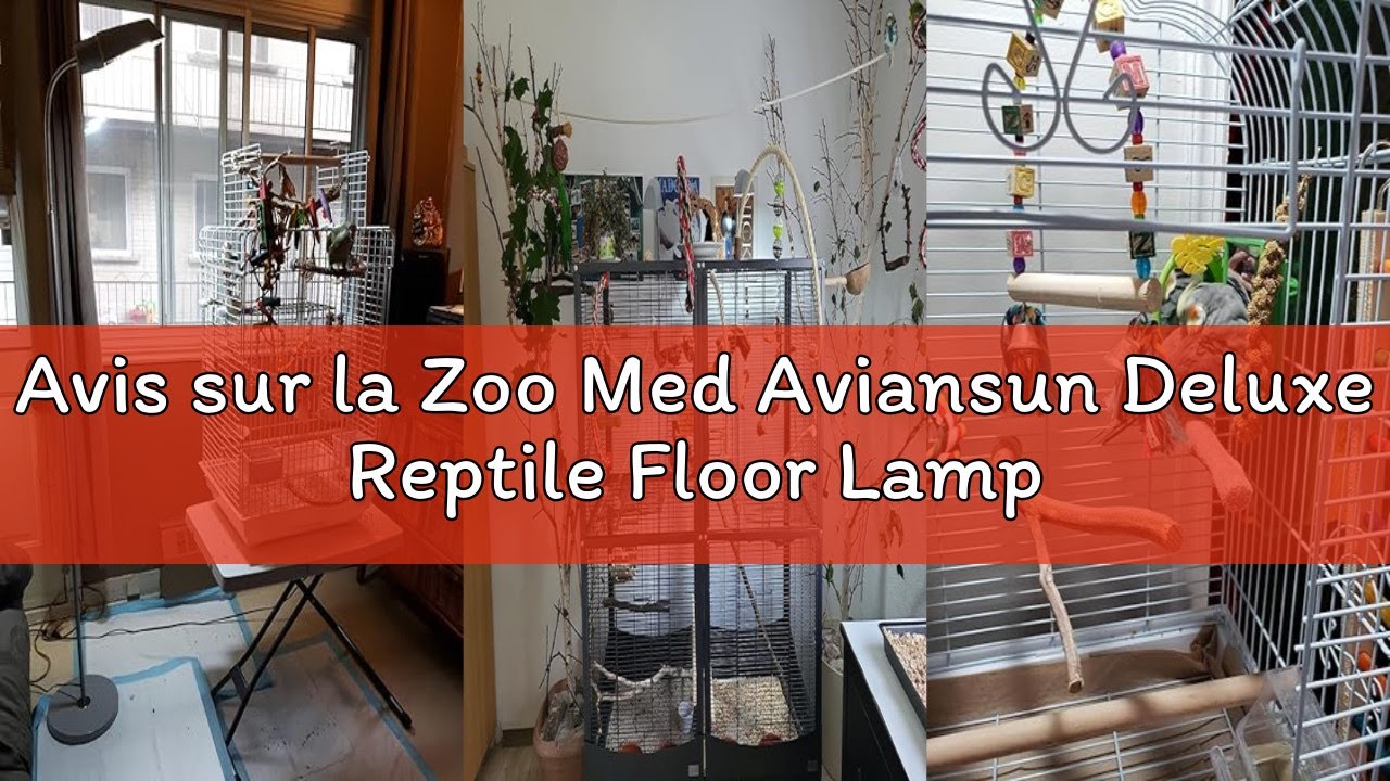 Avis sur la Zoo Med Aviansun Deluxe Reptile Floor Lamp