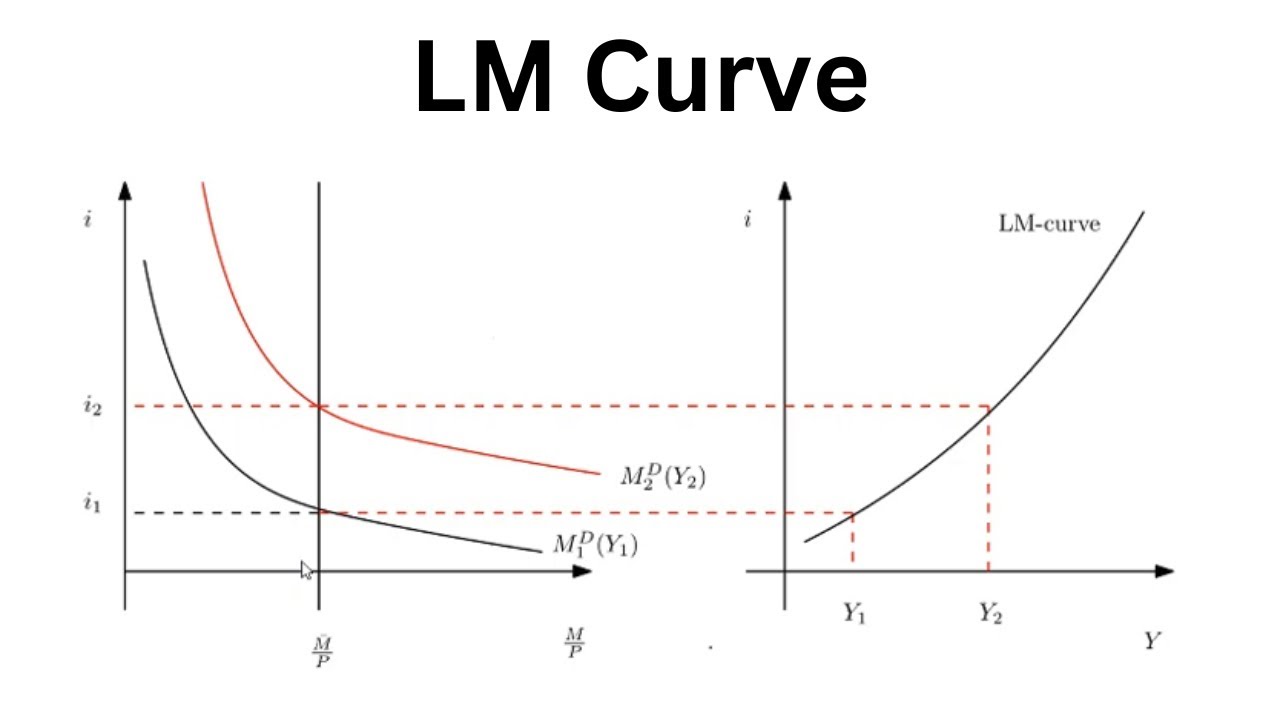 Macroeconomics: The LM Curve