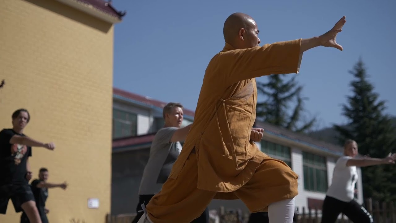 Shaolin Training Highlights 2025: Emerald Dragon Tour with Grandmaster Shi Deyang
