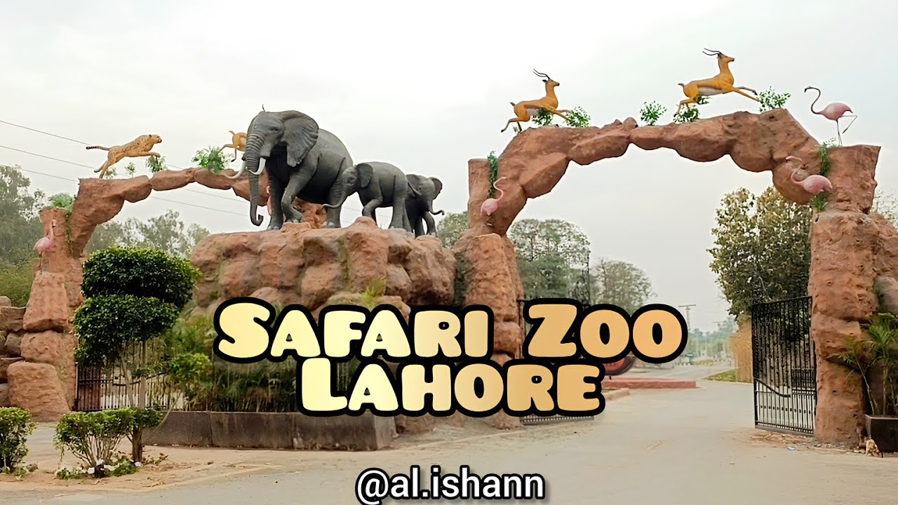 Safari Park Lahore New Update Renovation | Safari Zoo Lahore l Safari 2024 | Salt Range | #safarizoo
