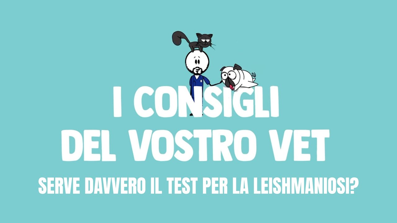 125 - Serve davvero il test per la leishmaniosi se il cane sta bene?