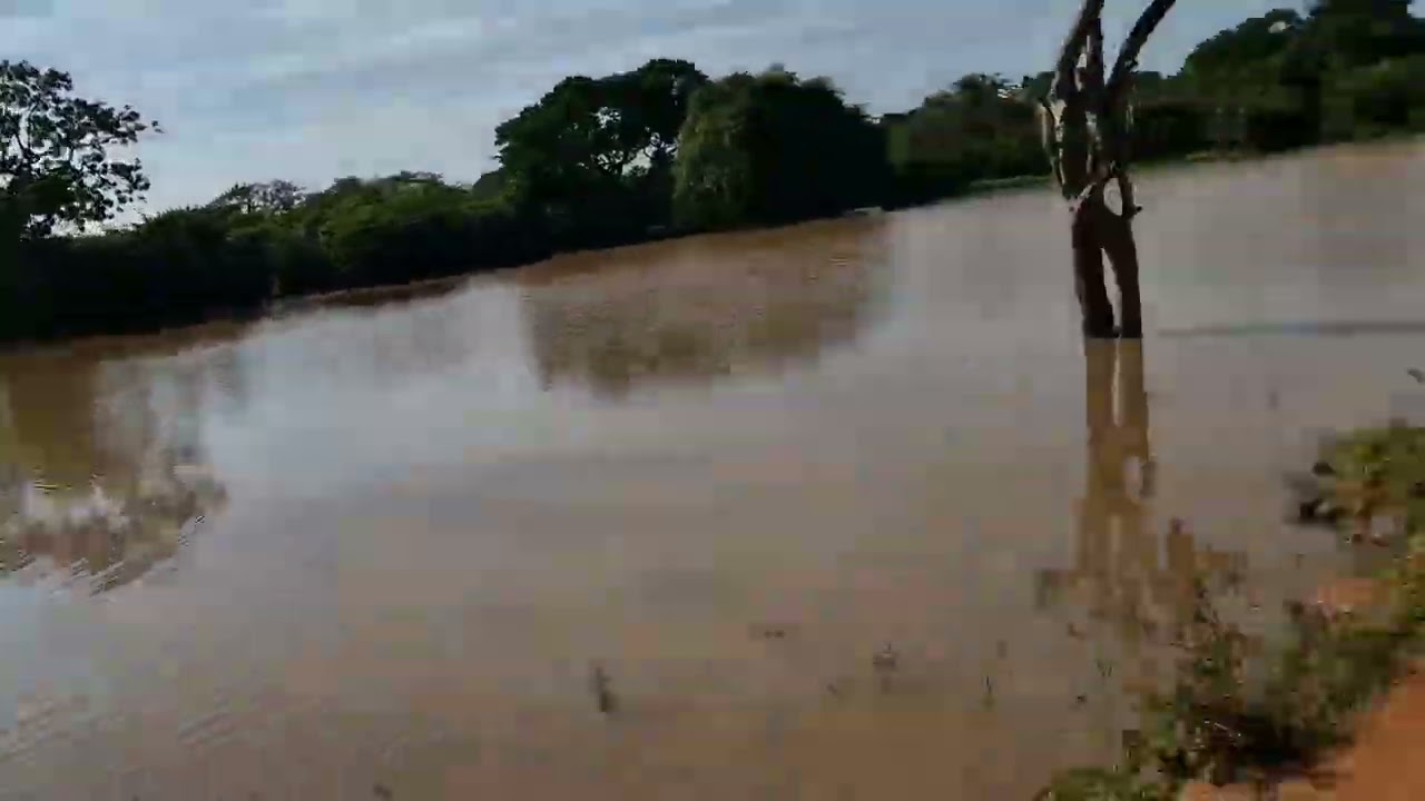 Bañito de los Búfalos, Safari en YALA, Sri Lanka, 13/1/26