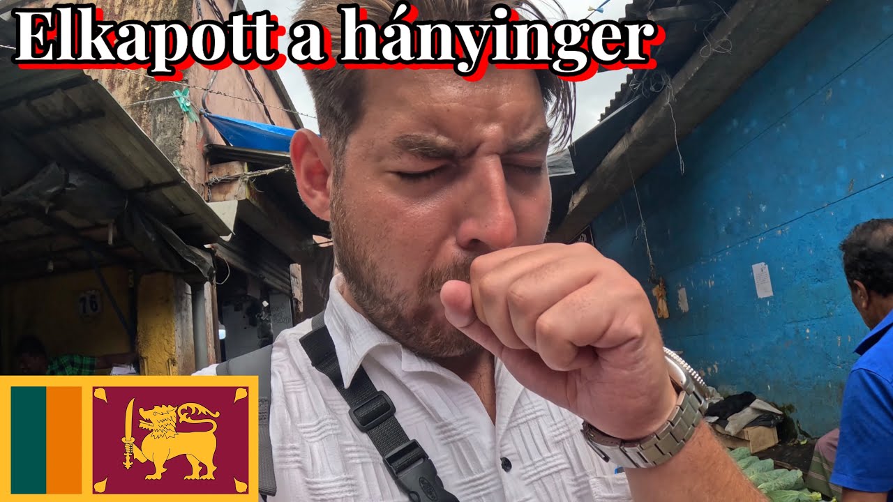 MAJMOK ÉBRESZTETTEK A HOTELSZOBÁMBAN 🇱🇰🐵 Sri Lanka