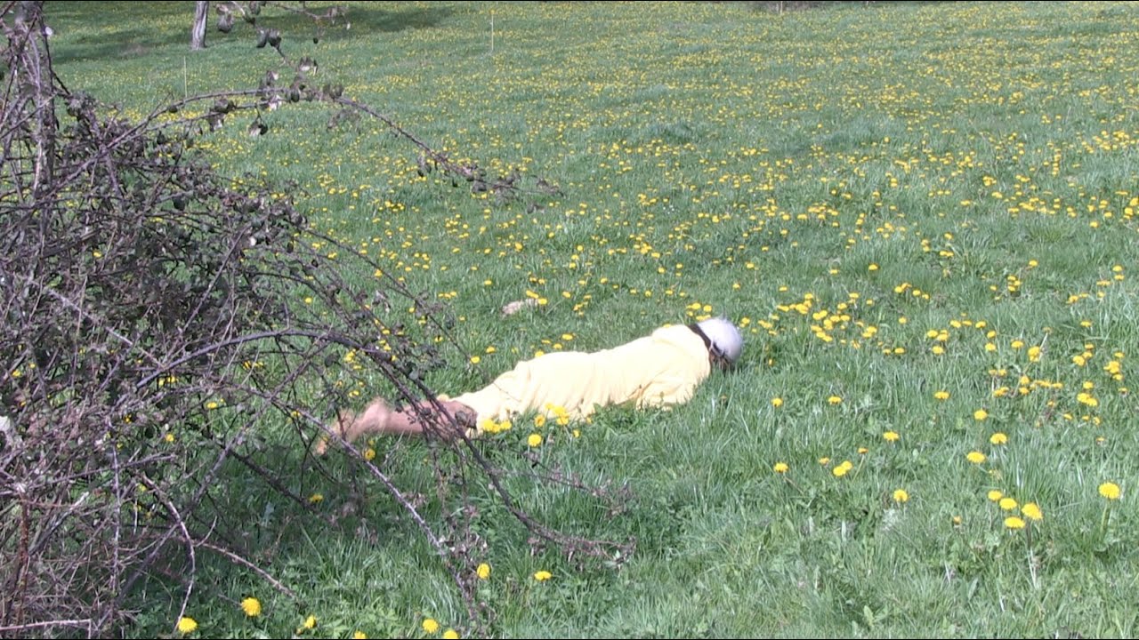 Pissenlit Time !  -  Léo Aniaba