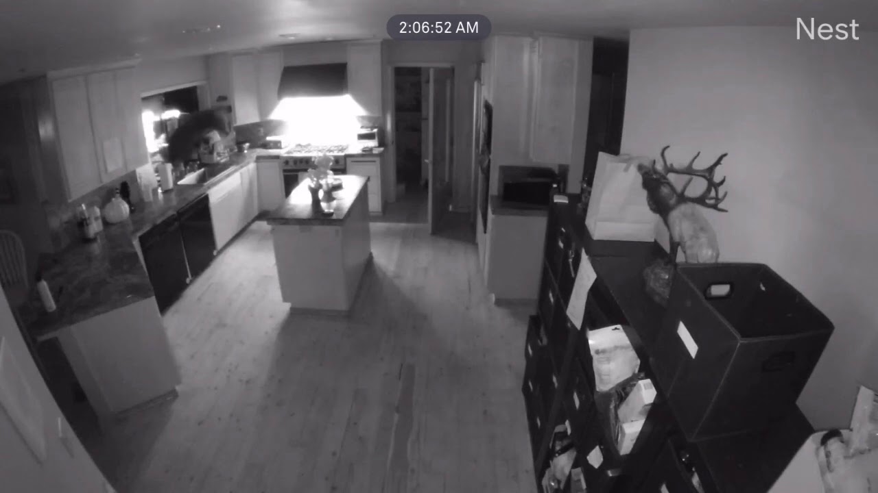 Bear Breaks into Tahoe City Home for 4 hours