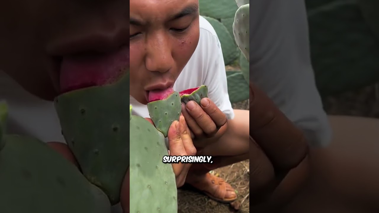 Кактусовые фермы 🌵😋