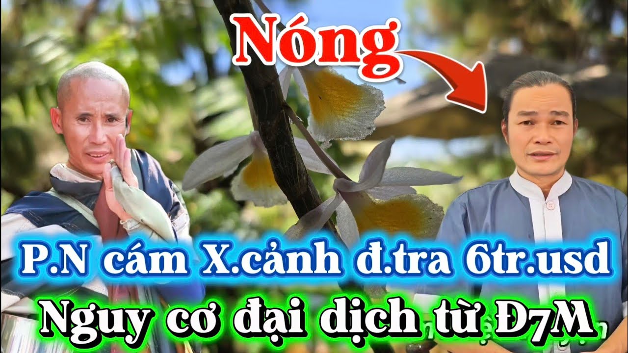 NÓNG! P.N BỊ CÁM X.CẢNH Đ.TRA 6TR USD, NG.UY CƠ ĐẠI DỊCH TỪ Đ7M.
