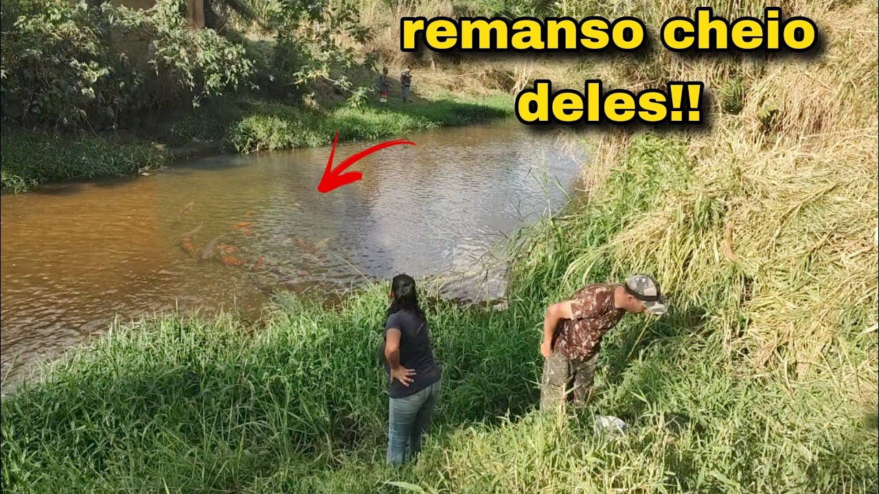 Tirei a sorte grande neste remanso!🎣