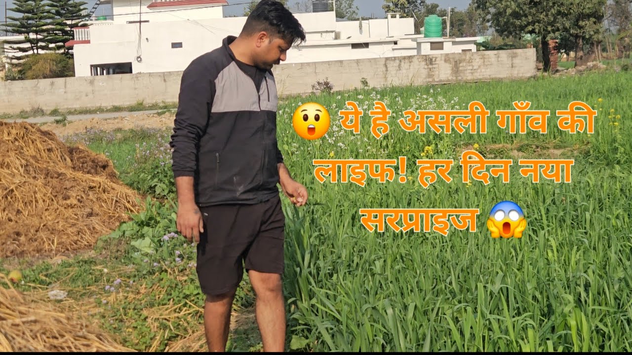 😲 ये है असली गाँव की लाइफ! हर दिन नया सरप्राइज 😱#dailyvlog #desivlog #viralvideo 