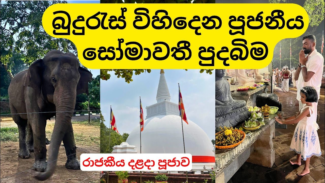 Somawathiya Temple Sri lanka ☸️ | වන අලි කැලය මැදින් සෝමාවතී පුදබිමට