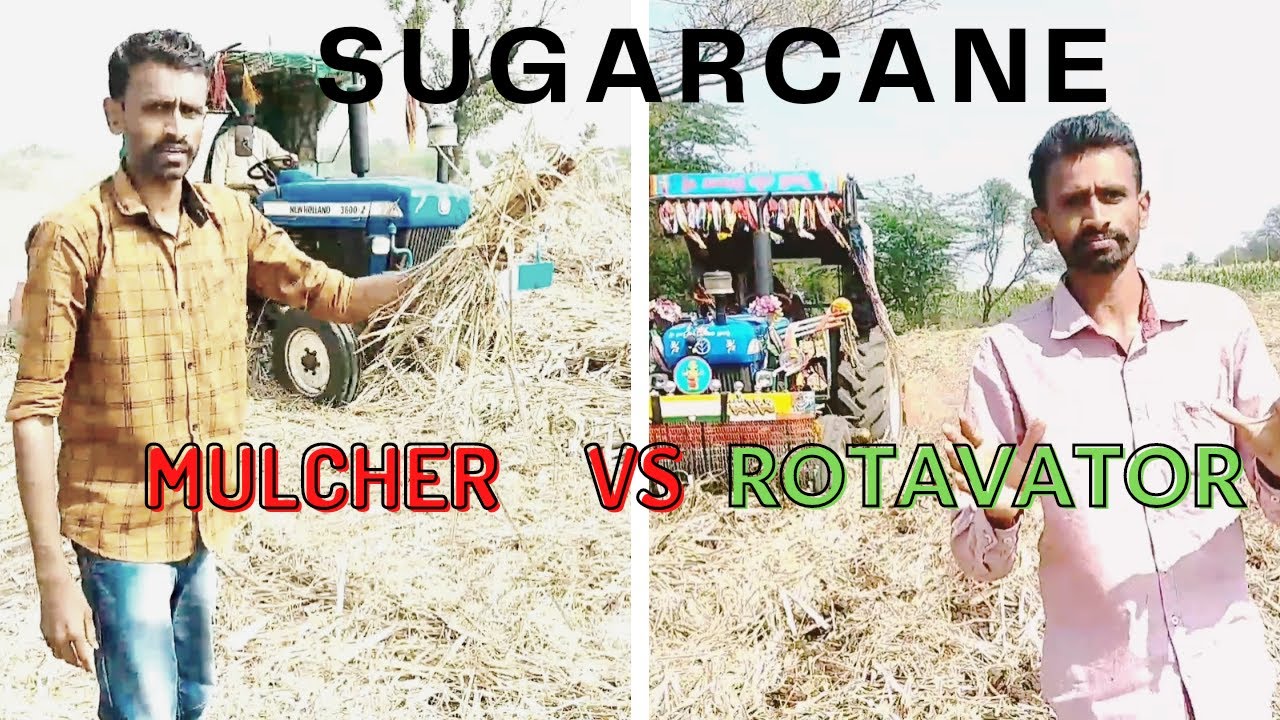 Sugarcane Mulcher  VS  Rotavator which is best   #  मल्चर  VS रोटावेटर  DON'T  BURN convert #MANURE