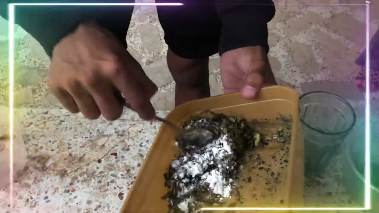 Tutorial on how to make an organic mosquito coil