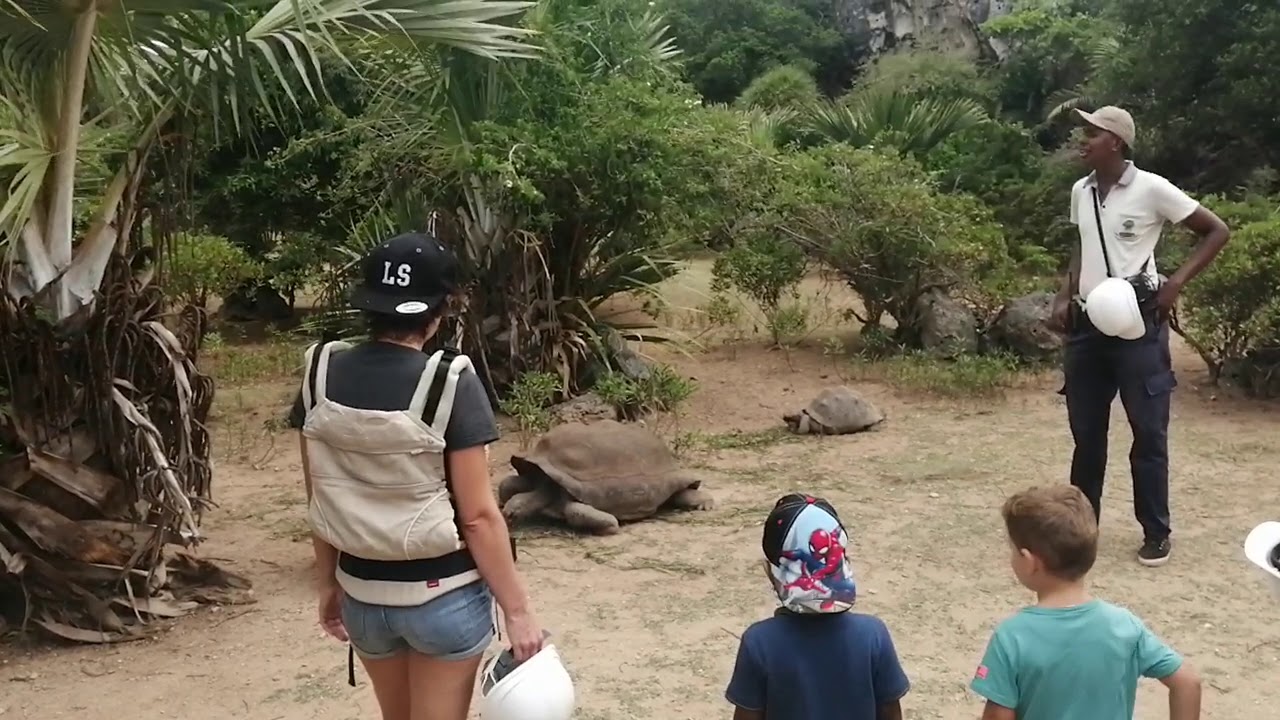 Vacances Rodrigues 2020 Part 2 Escale a la  Reserve Francois Leguat