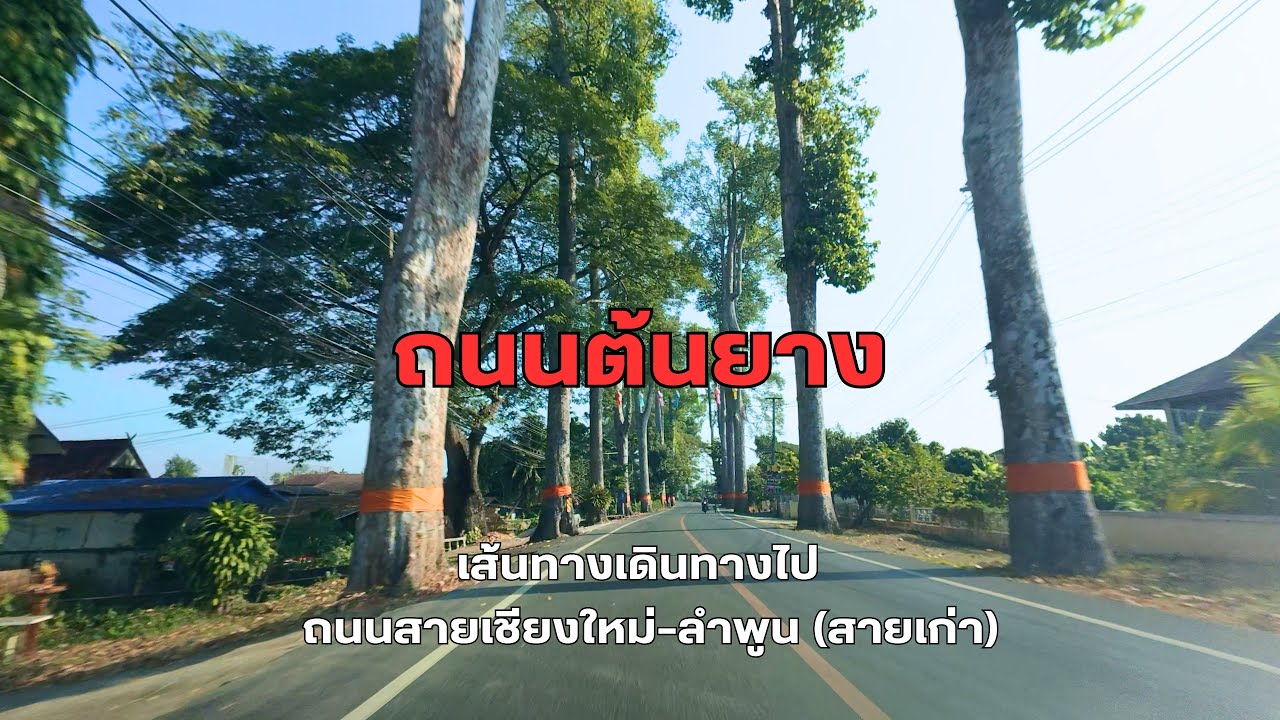 ถนนต้นยาง สายเชียงใหม่-ลำพูน | Thanon Ton Yang (Garjan tree road) | Drive to your destination