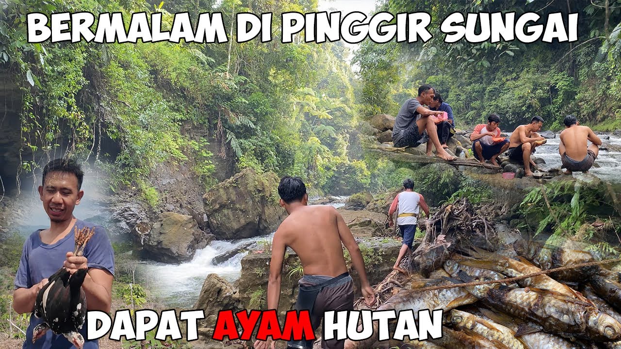 Fishing Camping Bermalam Di Pinggir Sungai | Lihat Bukit Disini Penuh Dengan Kebun Kopi