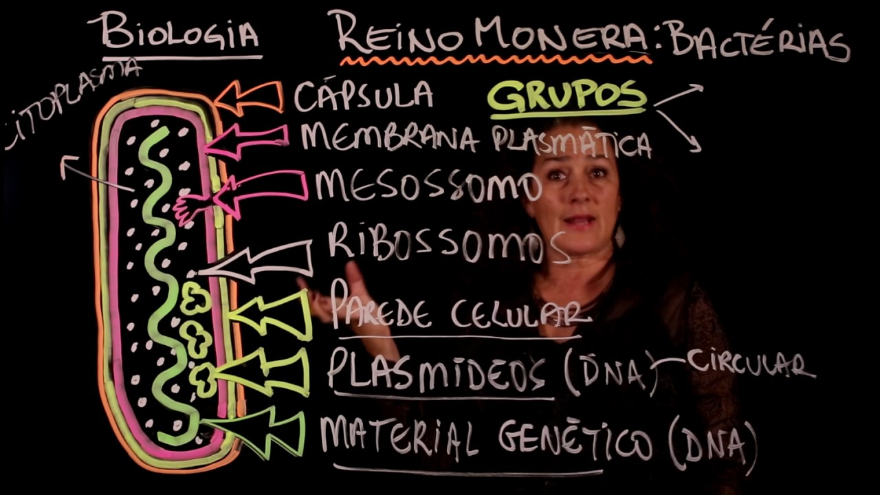 Aula 42 REINO MONERA parte 1 - BACTÉRIAS - Aulas ENEM