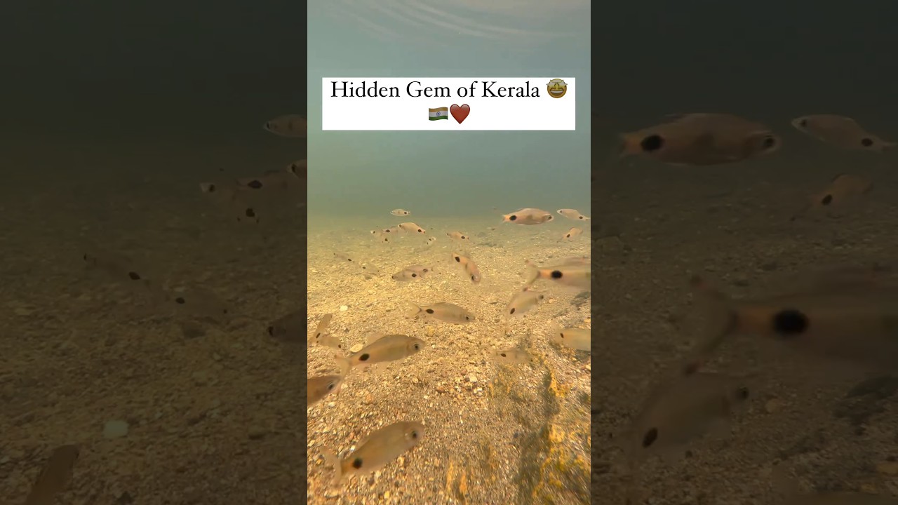 Hidden Gem of Kerala|Mamalakandam|Munnar tourist places|kerala houseboat|kerala itinerary