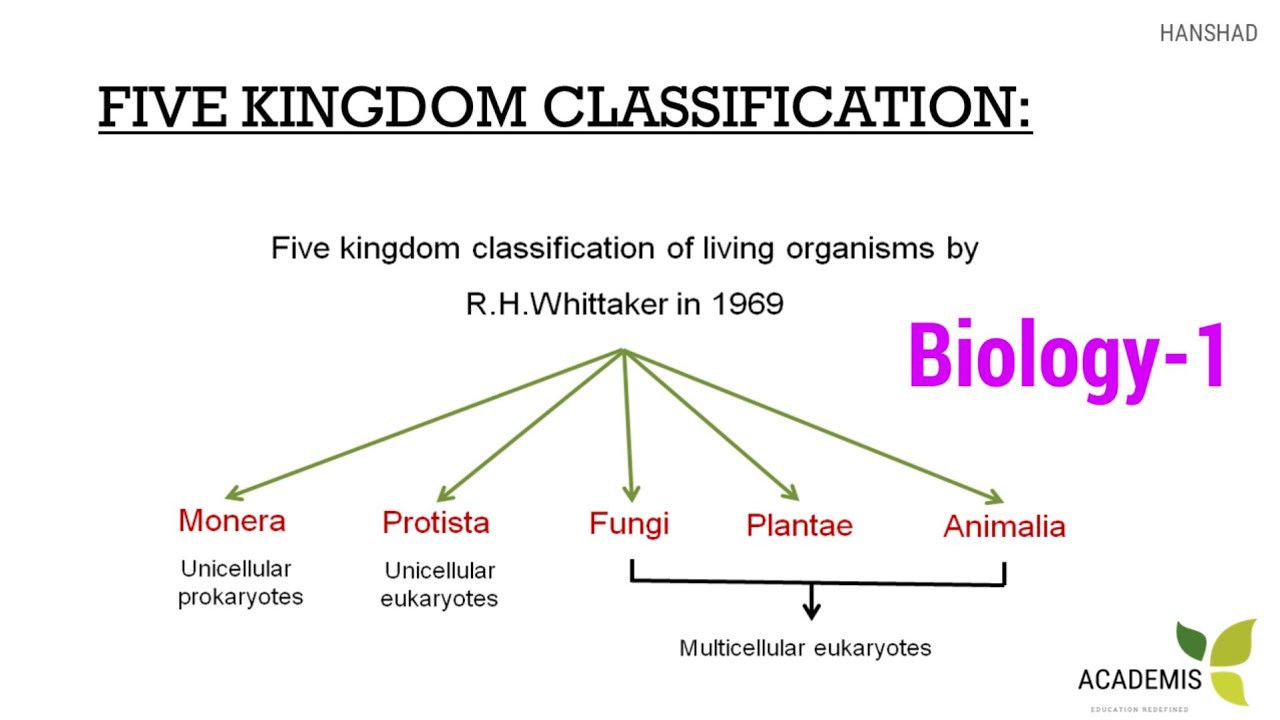 Five Kingdom Classification - RRB SSC || Biology-1