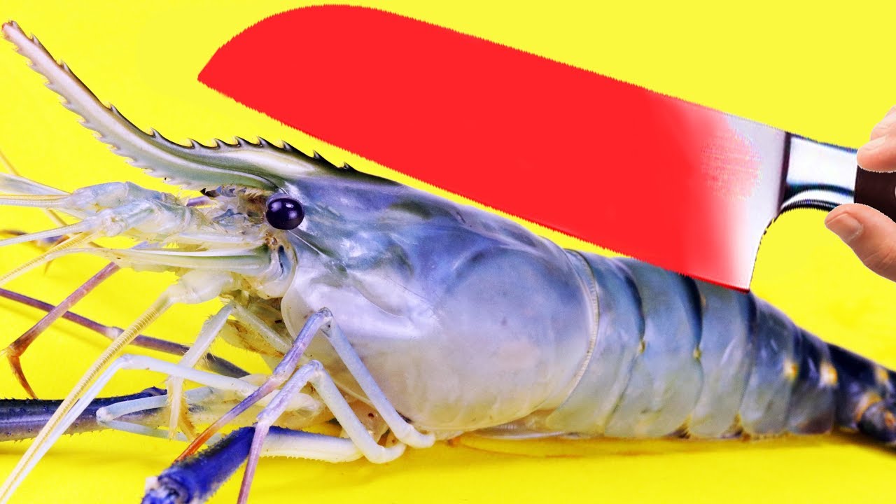 Experiment FISH vs 1000 Degree Knife, Metal Ball and Safety Matches