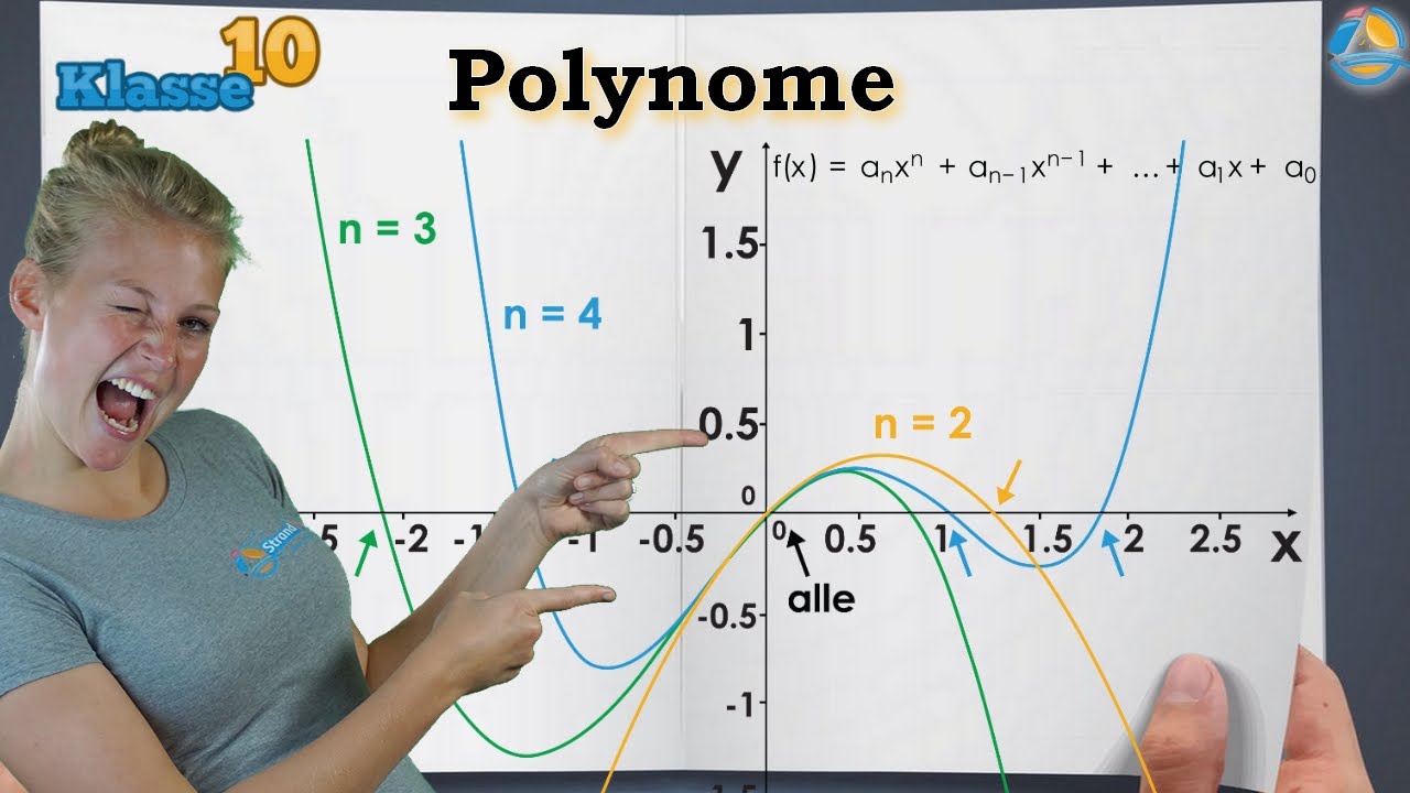 Polynome Funktionen || Klasse 10 ★ Wissen