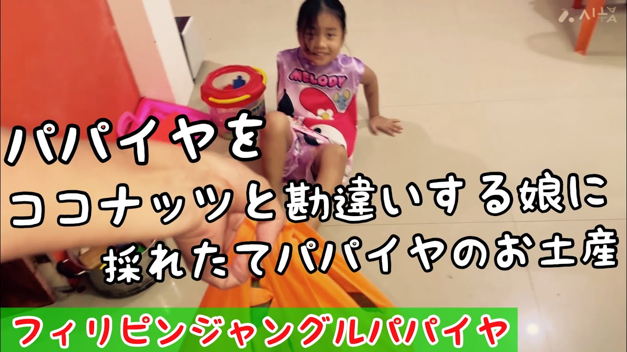 娘がパパイヤを食べたいと言ったので、採れたてを届けよう！