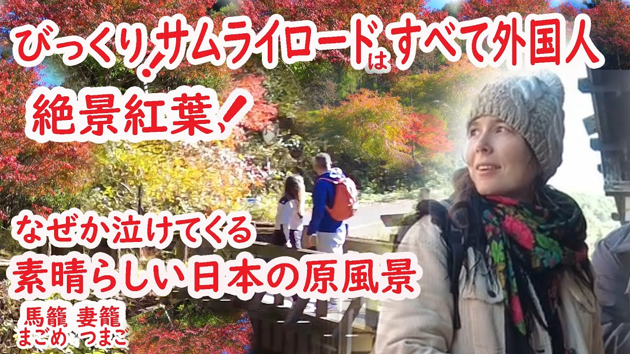 【リアルな海外の反応】絶景 紅葉!!外国人を完全に魅了した!サムライロード!!なんてこった!!ほぼすべて外国人!!!中山道 馬籠 妻籠 島崎藤村の故郷