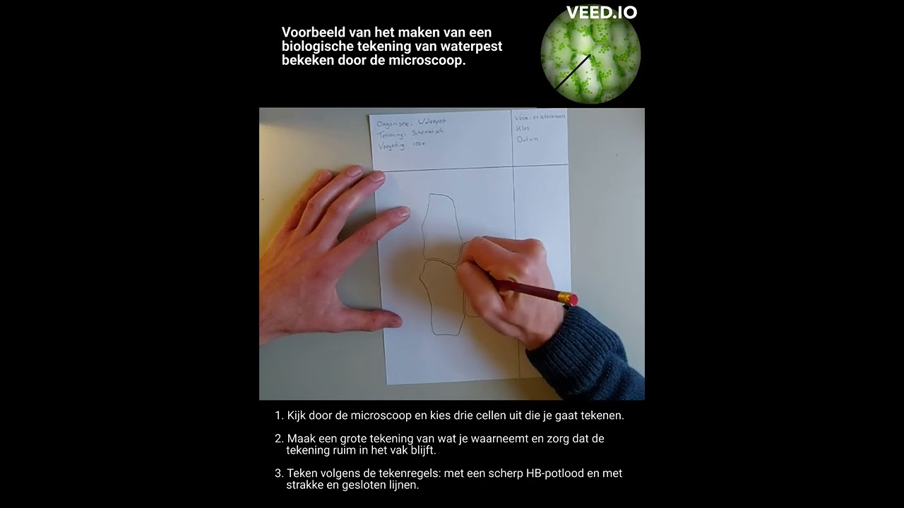 Biologische tekening van waterpest