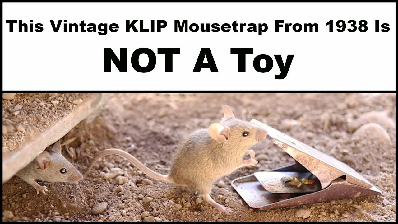 The Vintage KLIP Mousetrap From 1938 Is Not A Toy. Mousetrap Monday