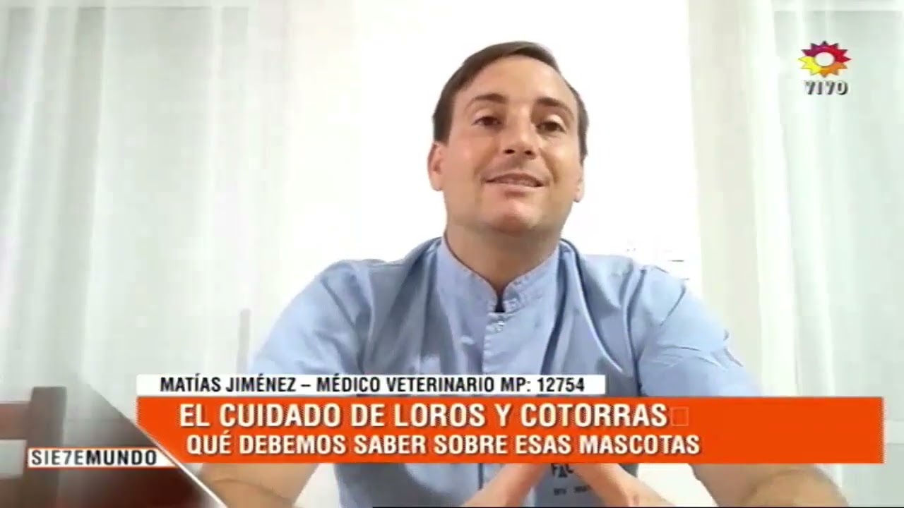 El cuidado de loros y cotorras