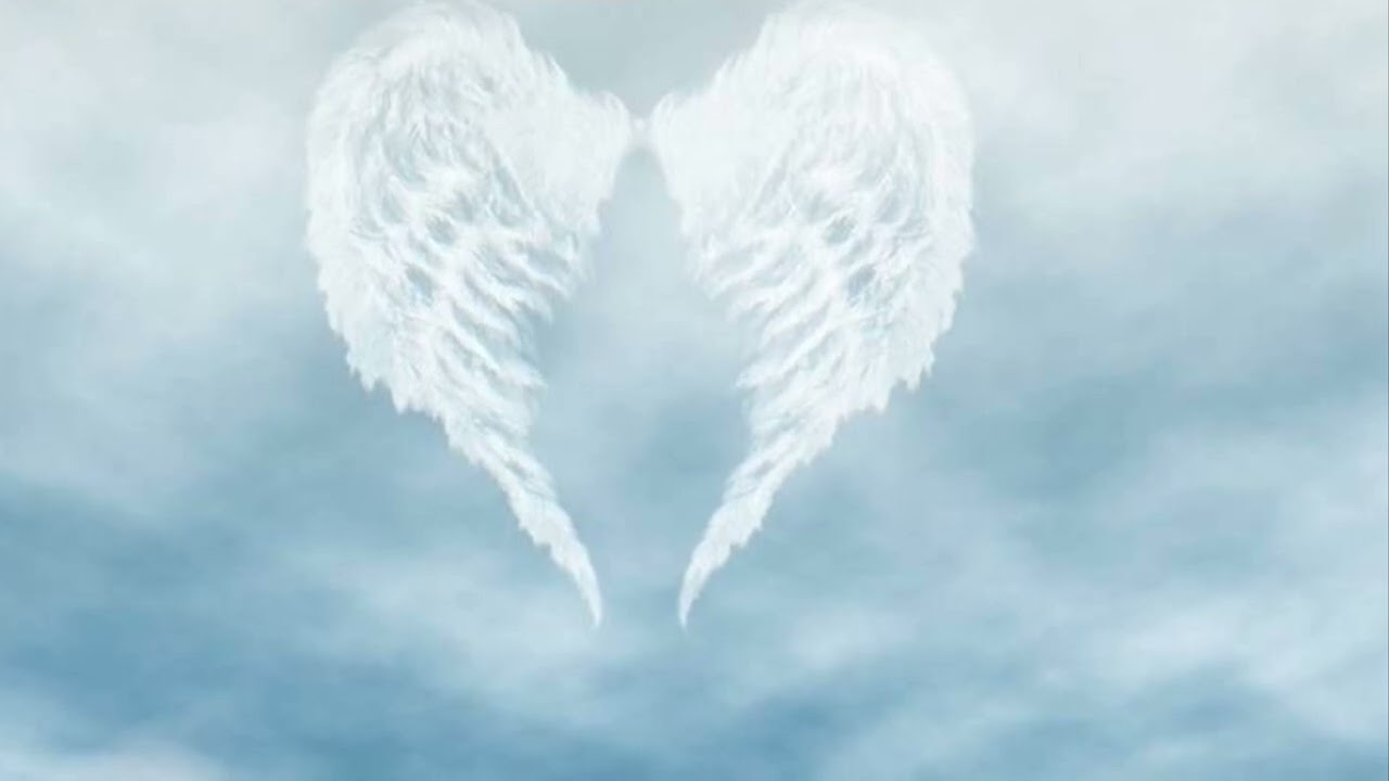 Les synchronicités et les plumes sur votre chemin