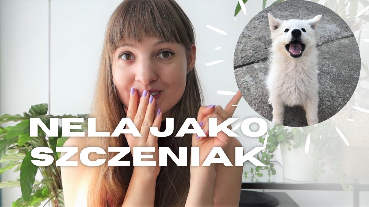 🥰 Nelcia jako szczeniaczek! Jak wyglądała? Jak się zachowywała?